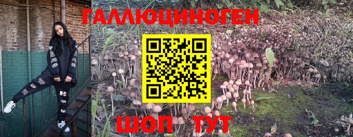 Воронеж  Псилоцибиновые грибы Cubensis  Вход с VPN 